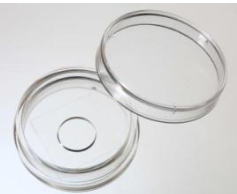 35mm 玻底培養(yǎng)皿，激光共聚焦專用培養(yǎng)皿