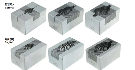 腦模具150-300G大鼠，冠狀，1MM